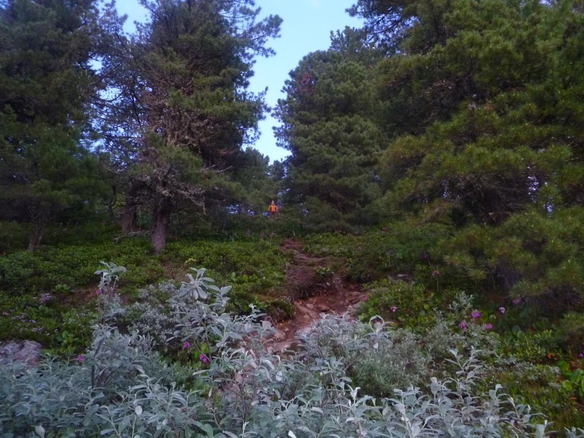 высоко сижу, далеко гляжу