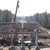 Кругом болото