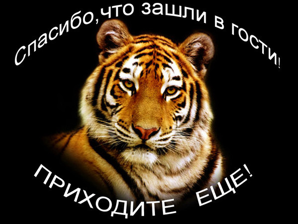 Wallpapers cats 283