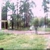 Webcam-Berkut02 Webcam-Berkut02