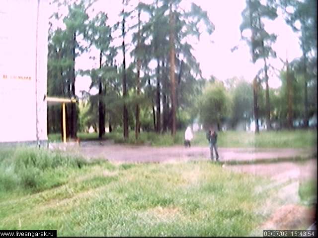 Webcam-Berkut02