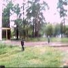 Webcam-Berkut04 Webcam-Berkut04