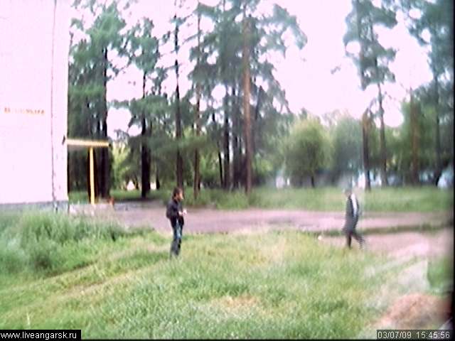 Webcam-Berkut05