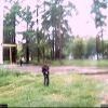 Webcam-Berkut06 Webcam-Berkut06