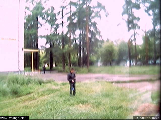Webcam-Berkut06