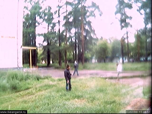 Webcam-Berkut07