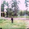 Webcam-Berkut08 Webcam-Berkut08