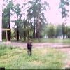 Webcam-Berkut09 Webcam-Berkut09