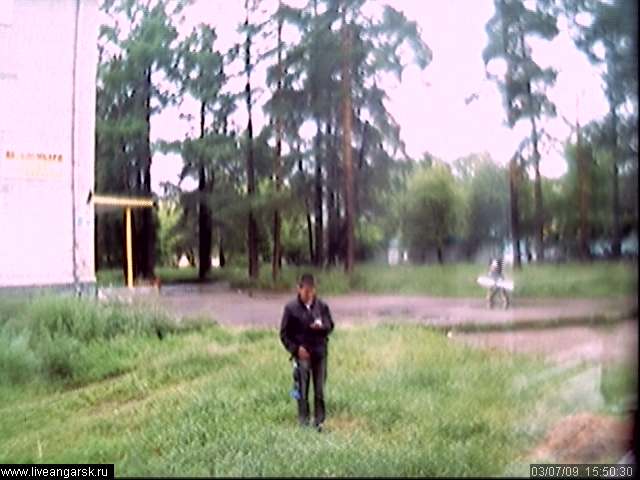 Webcam-Berkut14