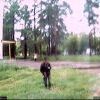 Webcam-Berkut15 Webcam-Berkut15