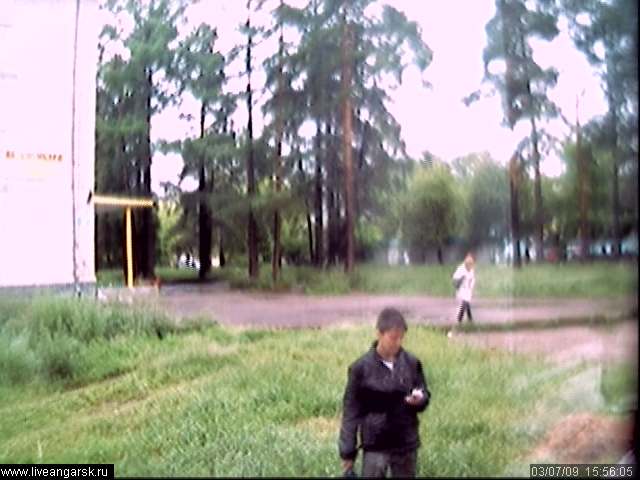 Webcam-Berkut25