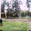 Webcam-Berkut37 Webcam-Berkut37