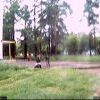 Webcam-Berkut39 Webcam-Berkut39