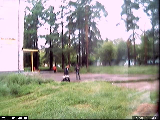 Webcam-Berkut39