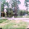 2 июля 2009 года - Webcam01 2 июля 2009 года - Webcam01