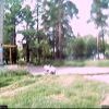 2 июля 2009 года - Webcam02 2 июля 2009 года - Webcam02