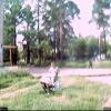 2 июля 2009 года - Webcam03 2 июля 2009 года - Webcam03