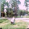2 июля 2009 года - Webcam08 2 июля 2009 года - Webcam08