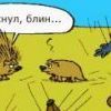 Убийственный чих Убийственный чих