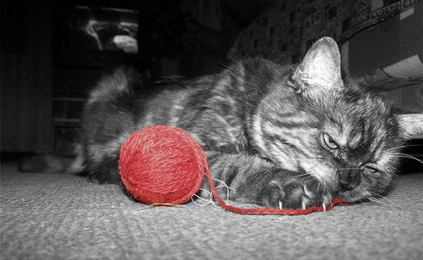 ~Marseilles Frantse~