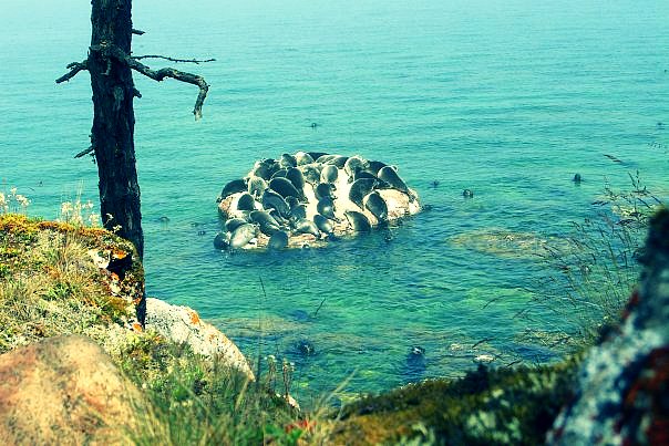 на Байкале)