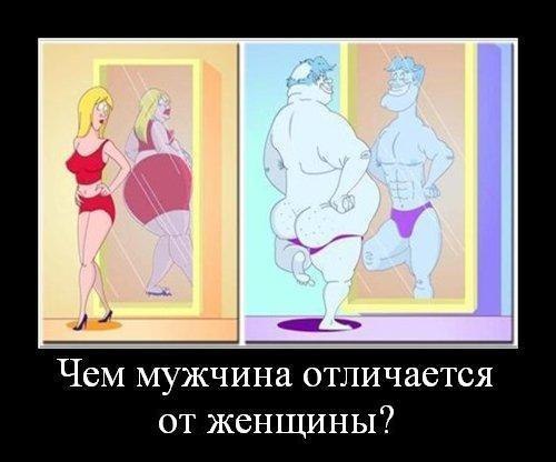 X af6e555c