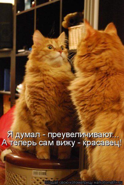 ..Ой не врут...