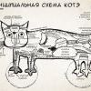 принципиальная схема котэ) принципиальная схема котэ)