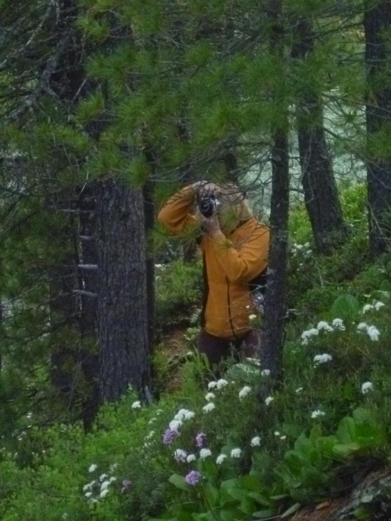 перекрестная фотосъемка 