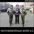 Yakuty 0