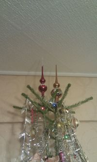 Йолка двуглавая)))))