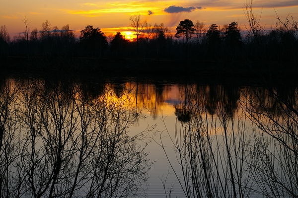 желтый вечер на Китое