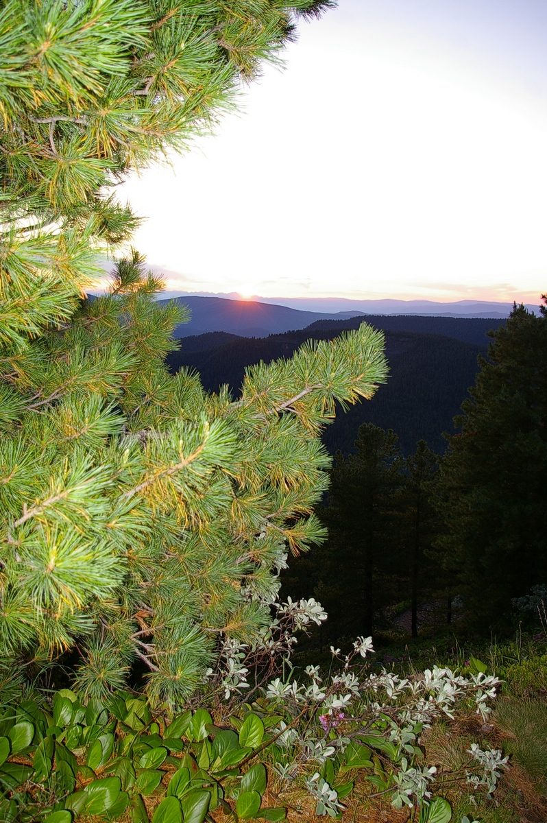 ...и упало солнце в Саяны....