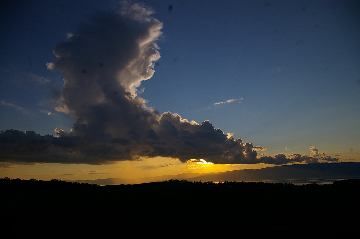 облако-птица