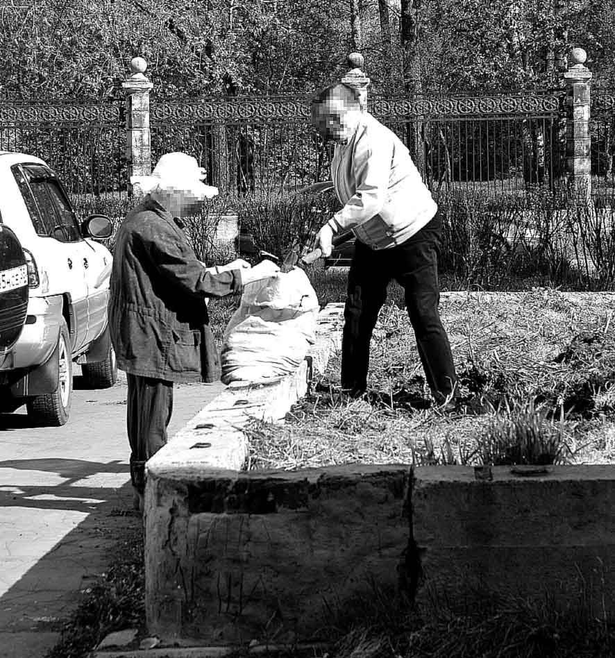 Землеройки проснулись