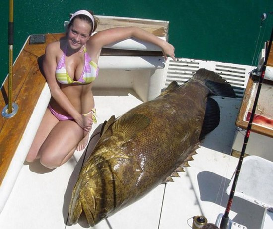 Внеочередная рыжая)))))