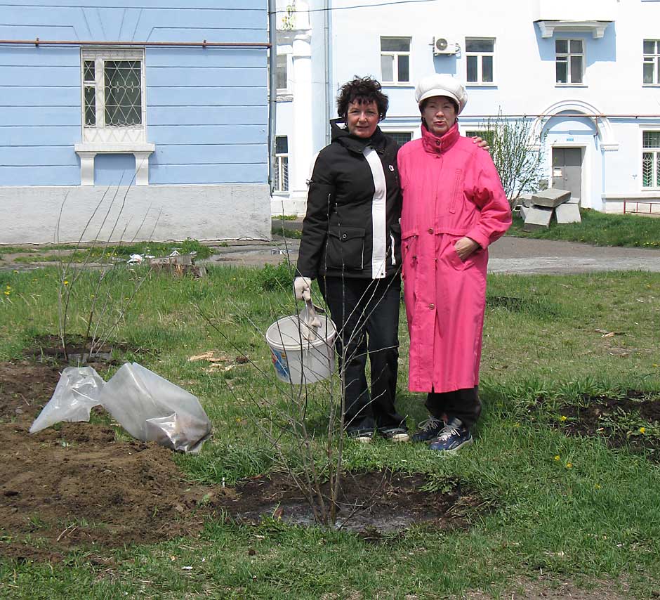 Женщины украшают свой двор