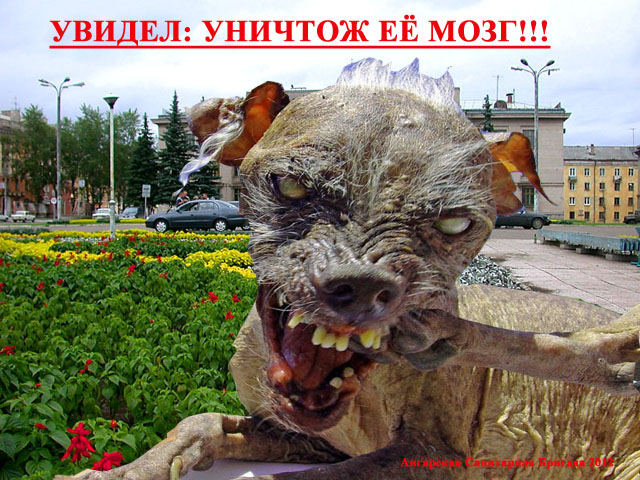 Увидел-убей!!!!